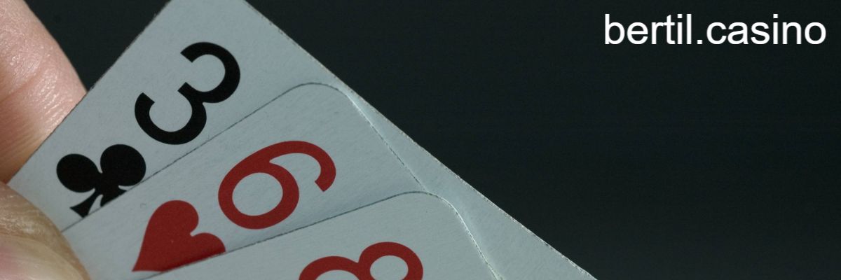 bertil.casino